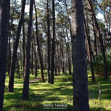 Appartamento Minho Terrace Caminha